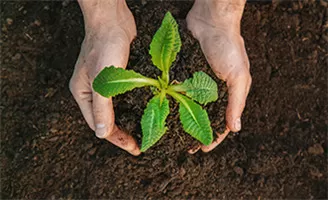 Environment Protection