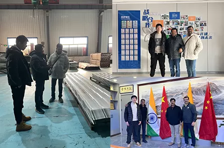 Southeast Asian Customers Visit And Inspect