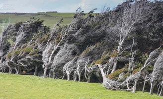 Wind Resistance