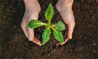 Environment&nbsp;Protection